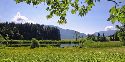 Urlaub auf dem Bauernhof - Gemeinschaftsterrasse - Oberösterreich - Naturschutzgebiet "Egelsee - Ferienhof Margarethengut am Attersee 