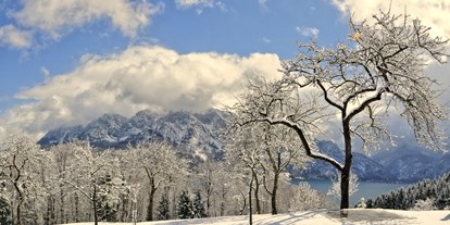 Urlaub auf dem Bauernhof - Selbstversorger - Oberösterreich - Winter  am Ferienhof  - Ferienhof Margarethengut am Attersee 