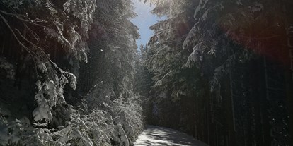 vacation on the farm - Liebenfels - Winter ist auch ideal zum Wandern  - Bergbauernhof Rami 