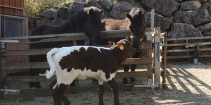 Urlaub auf dem Bauernhof - Tiere am Hof: Enten - Oberösterreich - Roithhof