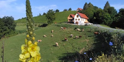 Urlaub auf dem Bauernhof - St. Gertraud (Frantschach-St. Gertraud) - Gschmeidler Greith
