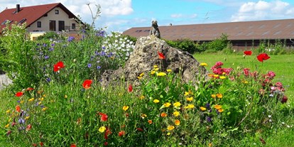 Urlaub auf dem Bauernhof - Stromanschluss: für E-Autos - Baden-Württemberg - Insekten erfreuen sich an unserer Blütenpracht - Eichhälderhof