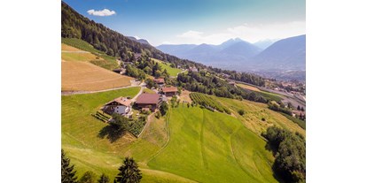 Urlaub auf dem Bauernhof - Tiere am Hof: Schweine - Trentino-Südtirol - Lechnerhof 