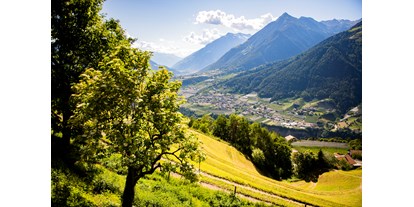 Urlaub auf dem Bauernhof - Art der Landwirtschaft: Milchbauernhof - Trentino-Südtirol - Lechnerhof 