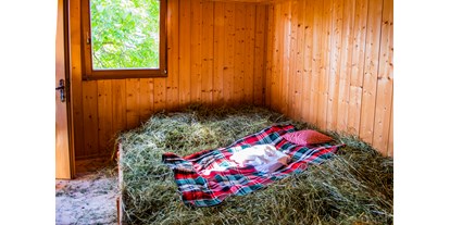 Urlaub auf dem Bauernhof - Tiere am Hof: andere Tierarten - Trentino-Südtirol - Lechnerhof 