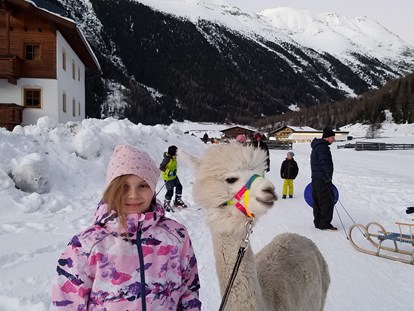 Urlaub auf dem Bauernhof - Umgebung: Urlaub in den Bergen - Österreich - Kostenlose Lama-Alpakawanderung - Reiterhof Alpin Appart
