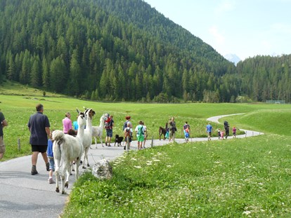 Urlaub auf dem Bauernhof - Wanderwege - Österreich - Lama-Alpakawanderung im Sommer und Winter - Reiterhof Alpin Appart