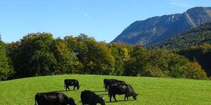 Urlaub auf dem Bauernhof - Umgebung: Urlaub am See - Salzburg - Eggerhof