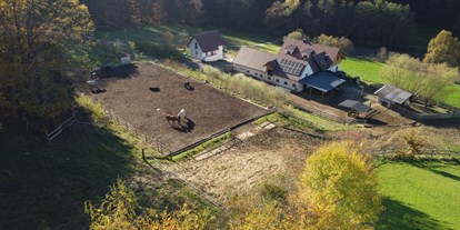 vacanza in fattoria - Camping am Bauernhof - Unser NaturGut Kunterbunt ist ein idyllischer Pferdehof in der Steiermark - umgeben von Wald und Wiesen.  - NaturGut Kunterbunt 