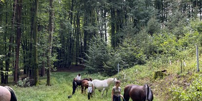Urlaub auf dem Bauernhof - Halbpension - Österreich - Zahlreiche Spazierwege befinden sich rund um das Naturgut.  - NaturGut Kunterbunt 