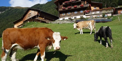Urlaub auf dem Bauernhof - Klassifizierung Blumen: 3 Blumen - Tirol - Tiere am Wachtlerhof - Bauernhof Wachtlerhof