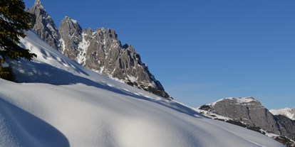 Urlaub auf dem Bauernhof - Wellness: Infrarotkabine - Salzburg - Winter in unseren schönen Bergen - Schloif Troadkastn