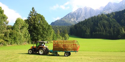 Urlaub auf dem Bauernhof - Preisniveau: moderat - Tirol - Heuernte - Großwolfing