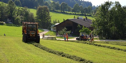 Urlaub auf dem Bauernhof - Aufenthaltsraum - Tirol - Heuernte - Großwolfing