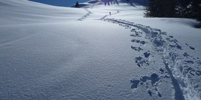 Urlaub auf dem Bauernhof - absolute Ruhelage - Tirol - Im Winter auf die Alm - Großwolfing