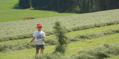 Urlaub auf dem Bauernhof - Art der Unterkunft: Appartement - Tirol - Heuarbeit - Großwolfing