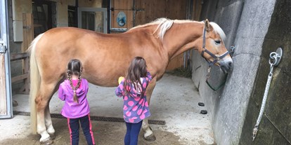 Urlaub auf dem Bauernhof - Wellness: Massagen - Alpen - Pferdepflege am Veitenhof - Bio und Reiterhof der Veitenhof