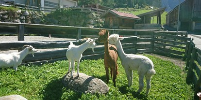 Urlaub auf dem Bauernhof - Wellness: Wellnessbereich - Österreich - Unsere Ziegen und Alpakas - Bio und Reiterhof der Veitenhof