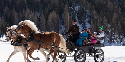 Urlaub auf dem Bauernhof - Ponyreiten - Kutschenfahrt mit unseren Haflingern - Sommer und Winter möglich - Bio und Reiterhof der Veitenhof