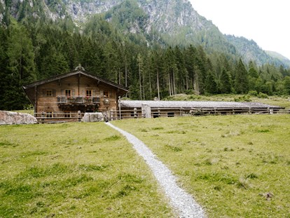 vacanza in fattoria - Austria - Smaragdalm