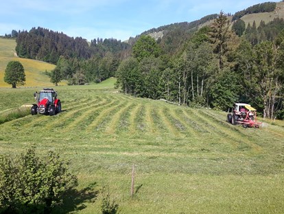 Urlaub auf dem Bauernhof - Frühstück - Österreich - Unsere beiden Traktoren - Urlaub am Foidlhof