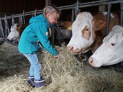 Urlaub auf dem Bauernhof - Frühstück - Österreich - Unsere Kühe füttern - Urlaub am Foidlhof