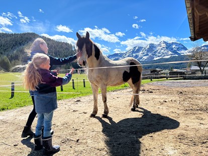 Urlaub auf dem Bauernhof - Mithilfe beim: Heuernten - Österreich - Pferd "Indian" - Urlaub am Foidlhof