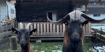 Urlaub auf dem Bauernhof - Streichelzoo - Steiermark - Rudolf und Lisl - Auerhof