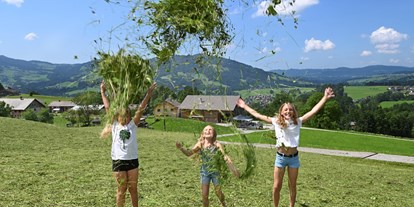 Urlaub auf dem Bauernhof - Österreich - Heuernte mal anders, Ausblickhof und Ausblick im Hintergrund - Ausblickhof