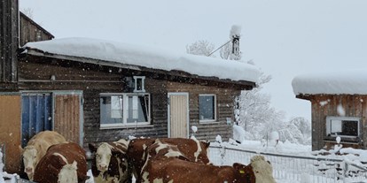 Urlaub auf dem Bauernhof - Verleih: Schneeschuhe - Österreich - Ausblickhof