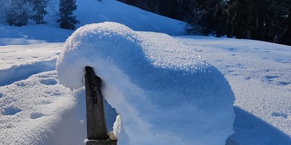 Urlaub auf dem Bauernhof - Terrasse oder Balkon am Zimmer - Österreich - Winter in Egg/Ebenwald - Ausblickhof