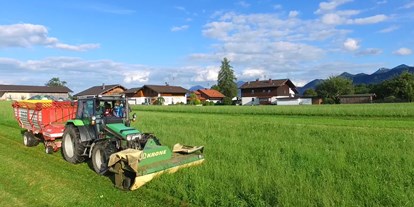 Urlaub auf dem Bauernhof - Mithilfe beim: Melken - Deutschland - Buchnerhof