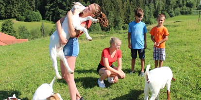 Urlaub auf dem Bauernhof - Oberbayern - Ziegen des Hofes - Hochgallinger Hof