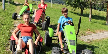 Urlaub auf dem Bauernhof - Seeham - Berg Tretfahrzeuge für Groß und Klein - Hochgallinger Hof