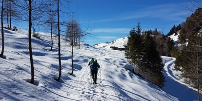 Urlaub auf dem Bauernhof - Hof bei Salzburg - Winter Skifahren, Langlaufen oder Wanderungen im Schnee - Hochgallinger Hof