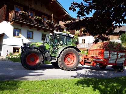 Urlaub auf dem Bauernhof - Fahrzeuge: Güllefass - Österreich - Heuernte  - Stranger Leitengut-Eckwald