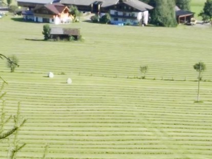 Urlaub auf dem Bauernhof - Umgebung: Urlaub in den Feldern - Salzburg - Heuernte Sommer - Schnell Palfengut