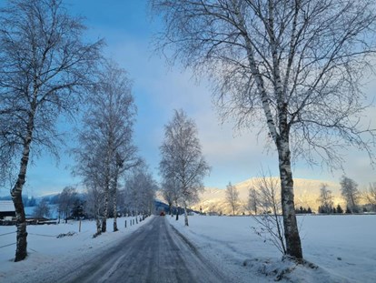 Urlaub auf dem Bauernhof - Fahrzeuge: Heuwender - Salzburg - Winter - Schnell Palfengut