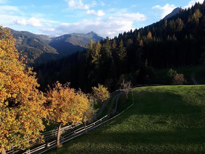 Urlaub auf dem Bauernhof - Flachau - Bio Bergbauernhof Pertillbauer