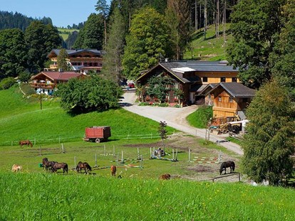 Urlaub auf dem Bauernhof - Tiere am Hof: Pferde - Salzburg - Familie Herzgsell Zauchtalerhof