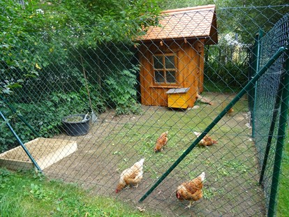 Urlaub auf dem Bauernhof - Mithilfe beim: Tiere füttern - Bayern - Hühnerstall Ferienhof Hohe - Ferienhof Hohe