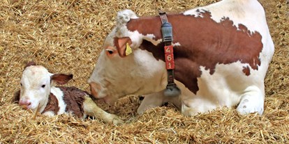 Urlaub auf dem Bauernhof - Art der Landwirtschaft: Milchbauernhof - Bayern - Ederhof