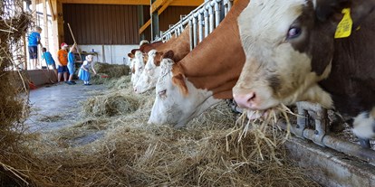 Urlaub auf dem Bauernhof - Streichelzoo - Bayern - unsere Mutterkühe - Wastelbauerhof