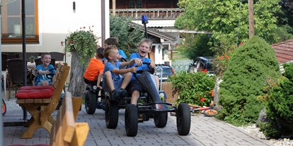 Urlaub auf dem Bauernhof - Fahrzeuge: Bagger - Deutschland - Gokarts für unsere Hausgäste - Wastelbauerhof