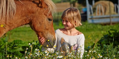 Urlaub auf dem Bauernhof - Brötchenservice - Baden-Württemberg - Glückliche Pferde - Glückliche Menschen ist unsere Begeisterung - Urlaubsreiterhof Trunk