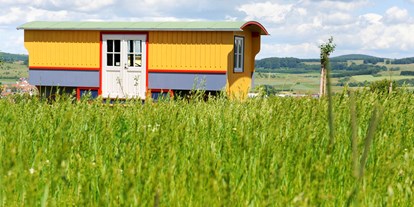 Urlaub auf dem Bauernhof - Fahrzeuge: Mähdrescher - Hofgut Hopfenburg