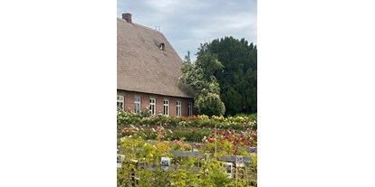Urlaub auf dem Bauernhof - Art der Unterkunft: Zimmervermietung - Deutschland - Hausdeich 180, Blick vom Rosenhof - Hausdeich 180