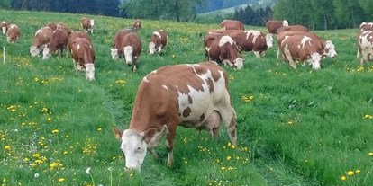 Urlaub auf dem Bauernhof - Art der Landwirtschaft: Milchbauernhof - Deutschland - Vogtlandhof