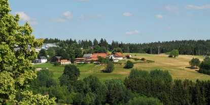 Urlaub auf dem Bauernhof - Fahrzeuge: Bagger - Deutschland - Vogtlandhof