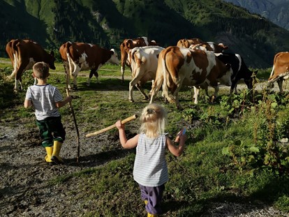 Urlaub auf dem Bauernhof - Wanderwege - Österreich - Tofererhof